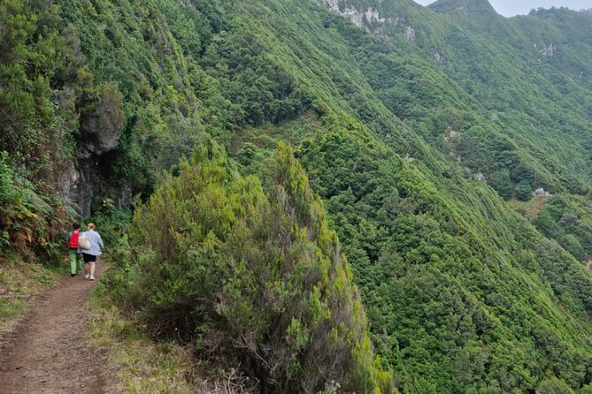 Madeira Porto da Cruz to Machico Self Hiking Tour with Transfer - The Experience: Breathtaking Views and Peaceful Trails