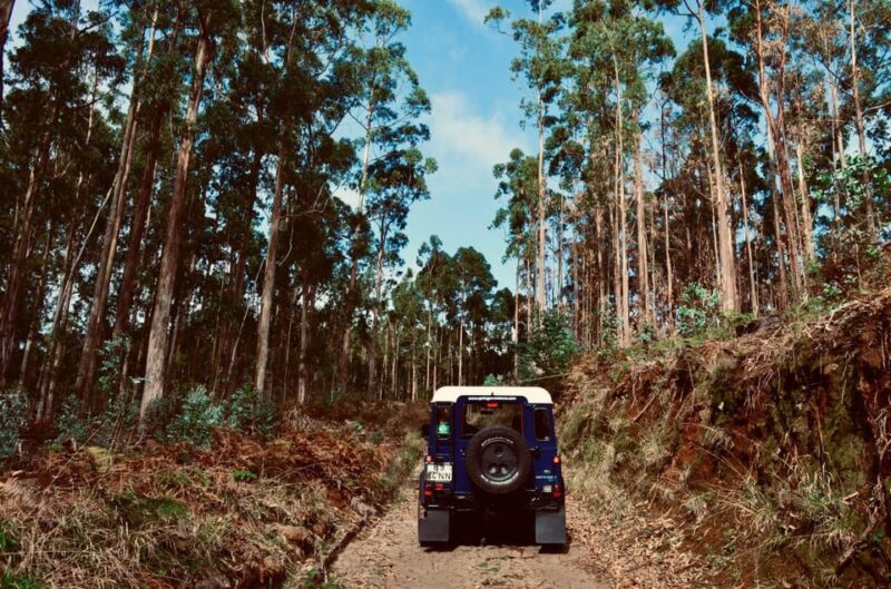 Madeira: Porto Moniz: Wild West Tour: In 4*4 car: Duration 7.5h - Porto Moniz’s Natural Volcanic Pools and Lunch