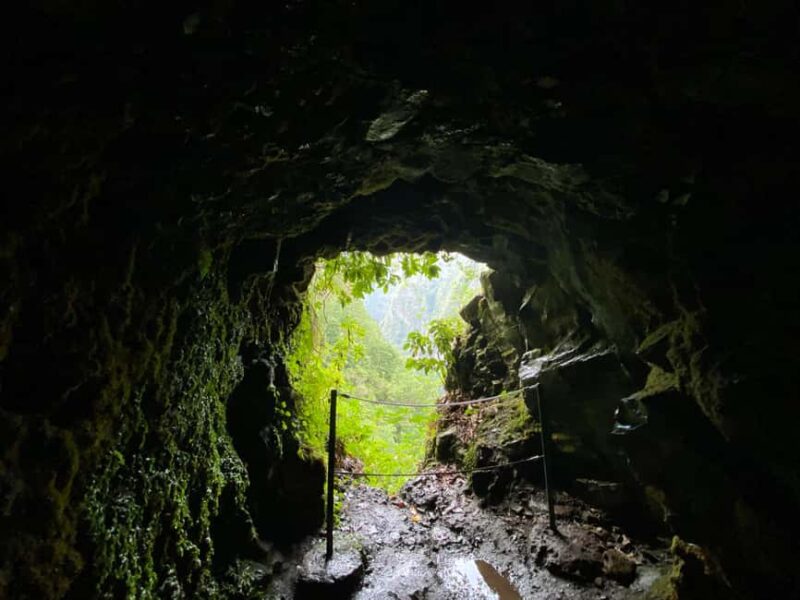 Madeira: PR 9 - Levada do Caldeirão Verde Hike Transfer - Key Points