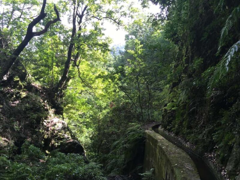 Madeira: PR 9 - Levada do Caldeirão Verde Hike Transfer - The Benefits of a Self-Guided Hike with Local Transport