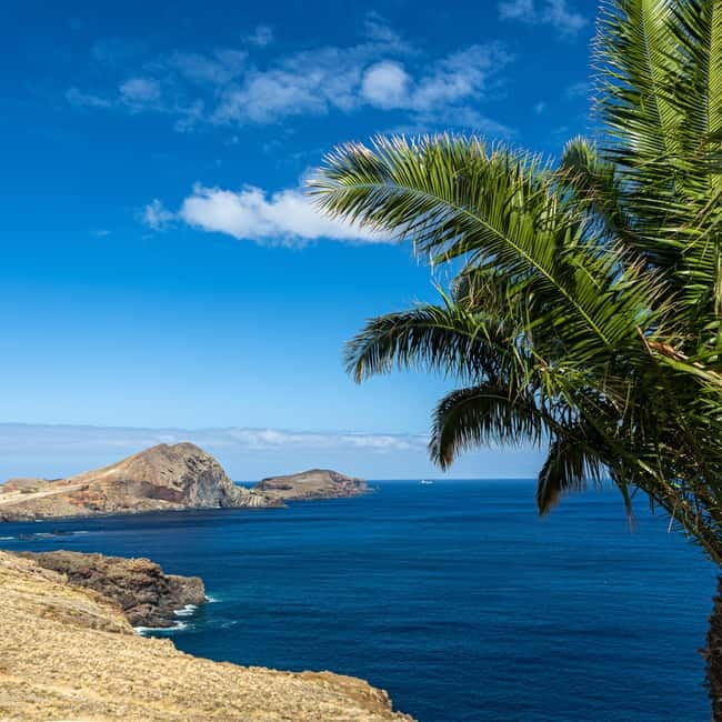 Madeira: PR8 -Ponta de São Lourenço Natural Reserve Transfer - Unique Flora and Fauna in the Partial Nature Reserve