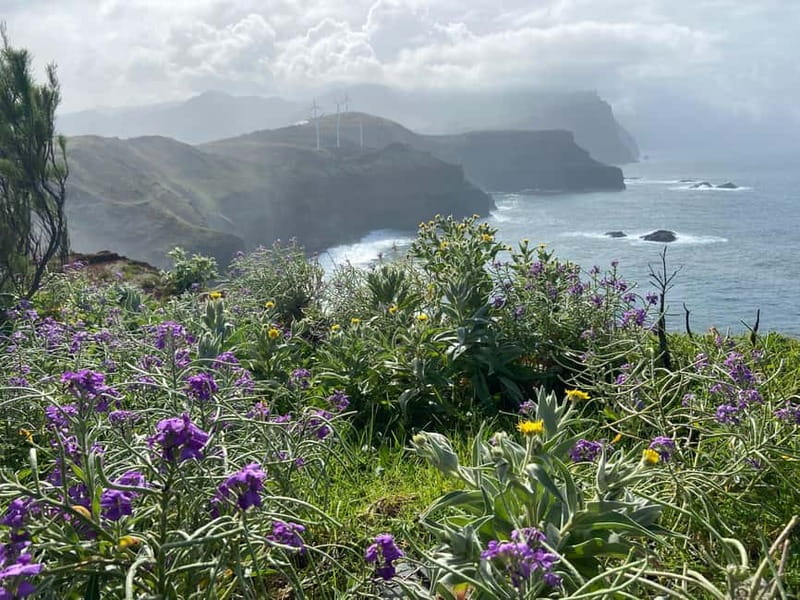 Madeira: PR8 -Ponta de São Lourenço Natural Reserve Transfer - The Hike’s Pacing and Timing