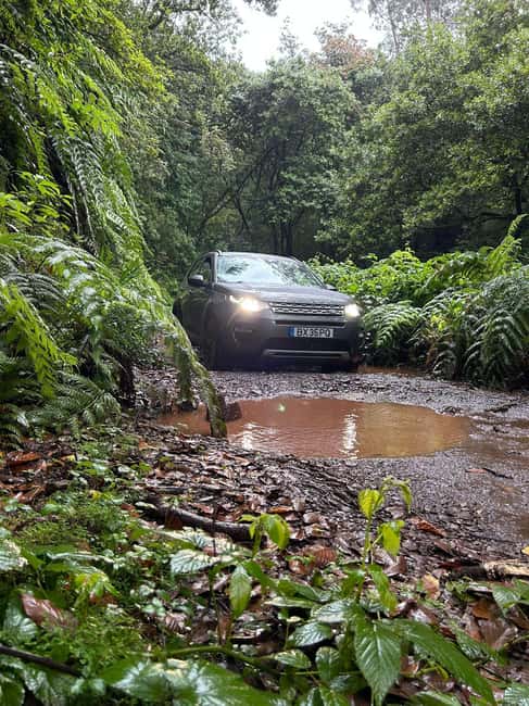 Madeira: Premium 4x4 Adventure Tour - Exclusive Locations Off the Beaten Path