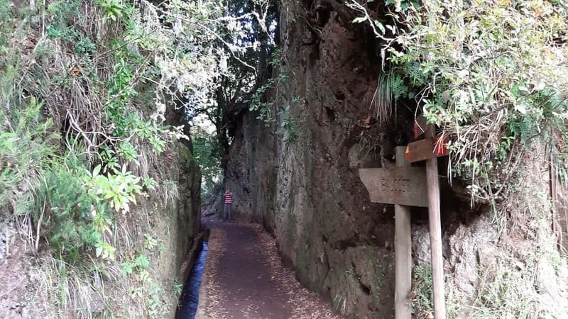 Madeira: Private 1.5-Kilometer Levada dos Balcões Hike PR11 - Key Points