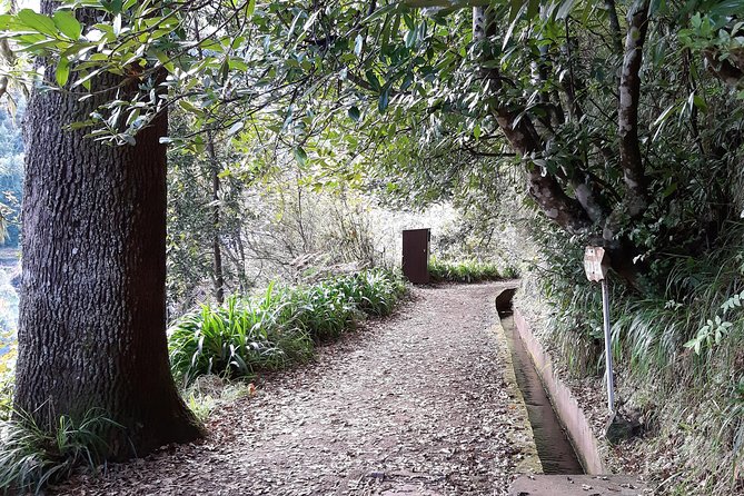 Madeira: Private 1.5-Kilometer Levada dos Balcões Hike PR11 - The Levada dos Balcões: A Perfect Short Walk in Madeira