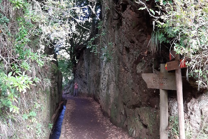 Madeira: Private 1.5-Kilometer Levada dos Balcões Hike PR11 - Optional Lunch and Other Personalizations