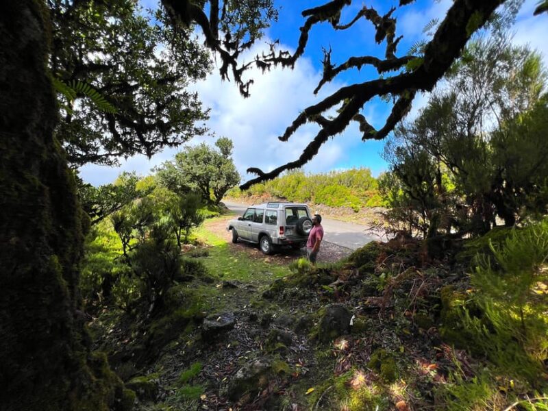Madeira private 4x4 tour: North-West Coast - The Coastal Marvels of Ribeira da Janela and Porto Moniz