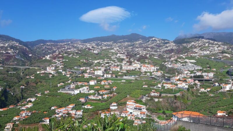 Madeira: Private Banana Farm Tour with Pickup - Who Should Consider This Tour?