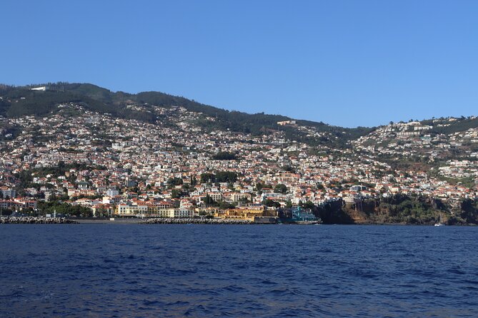 Madeira Private Boat Tour from Funchal - Practical Details: Booking, Cancellation, and Accessibility