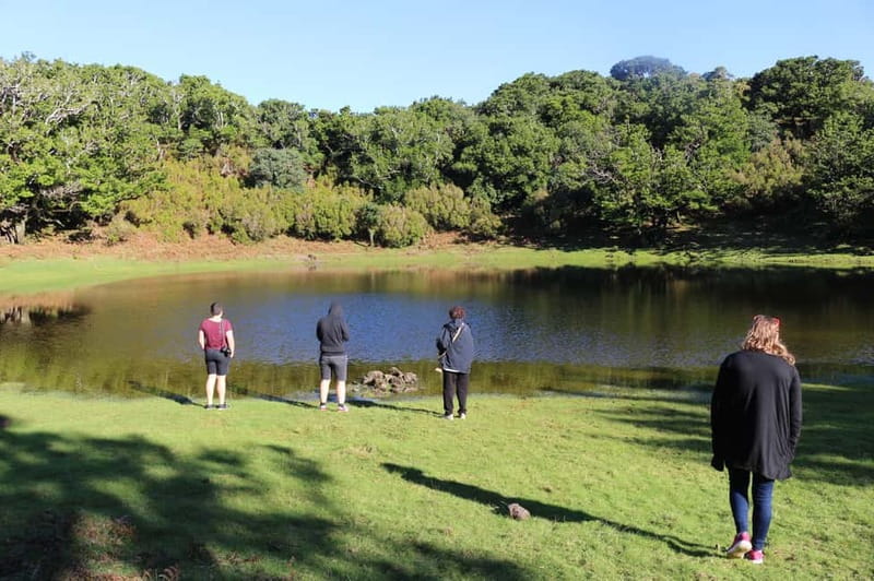 Madeira: Private Cabriolet Tour with Guide - West - Fanal Forest and Its Enchanting Tranquility