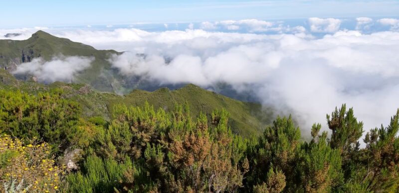 Madeira: Private Guided Achadas Teixeira - Pico Ruivo PR1.1 - Frequently Asked Questions