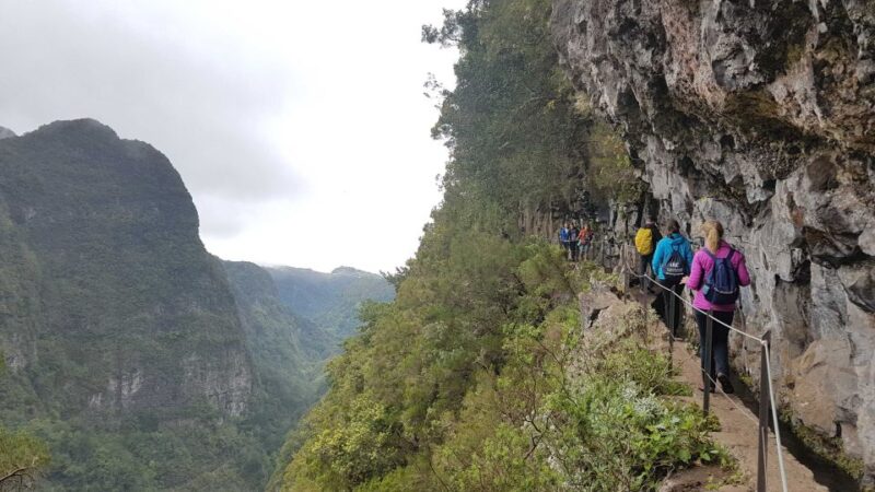 Madeira: Private Guided Levada Caldeirão Verde Walk PR9 - From Queimadas to the Majestic Waterfall