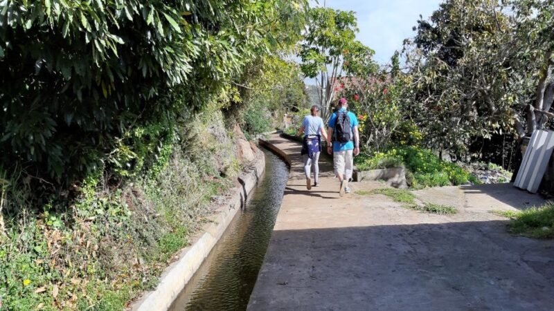 Madeira: Private Guided Levada do Norte Walk - Key Points