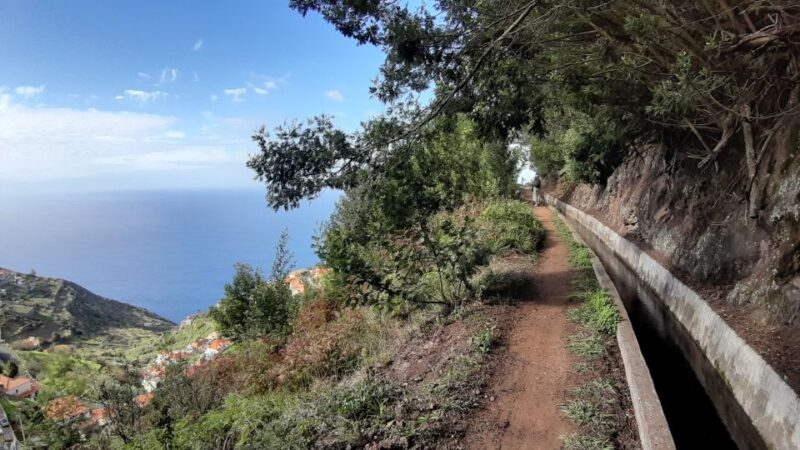 Madeira: Private Guided Levada do Norte Walk - What Sets This Tour Apart from Other Madeira Walks