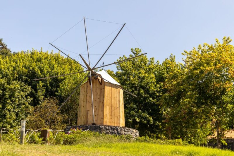 Madeira: Private Guided Madeira Theme Park Tour with Pickup - The Gardens and Indigenous Flora