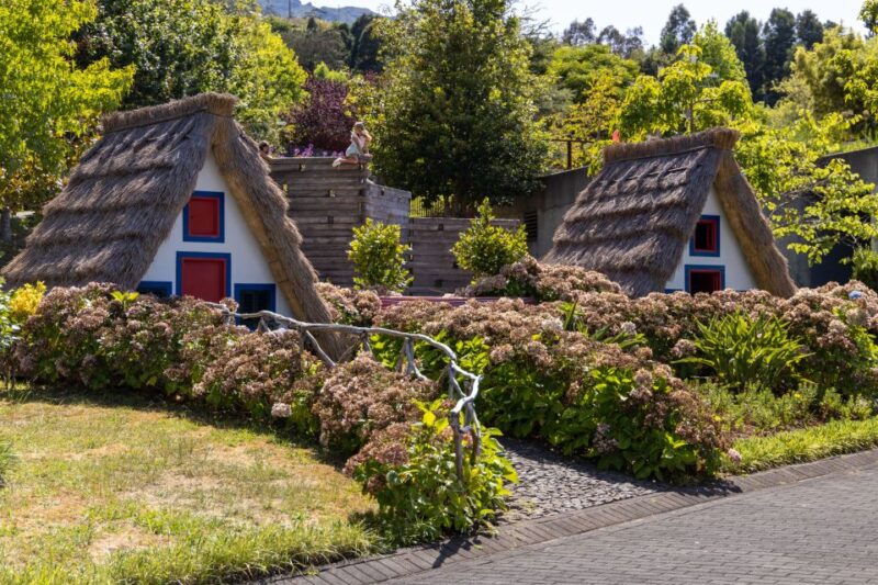 Madeira: Private Guided Madeira Theme Park Tour with Pickup - Practical Details: Meeting Point and Accessibility