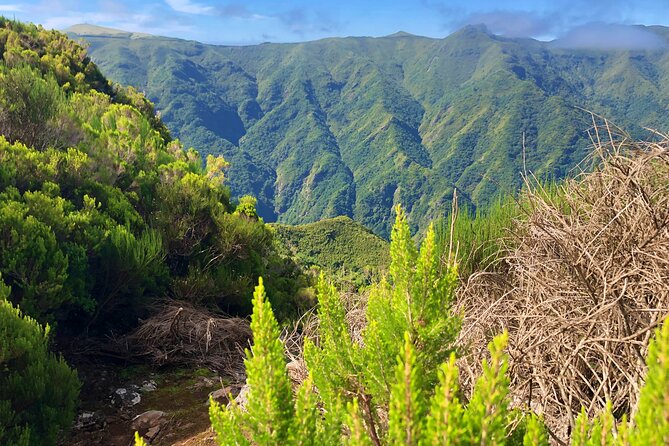 Madeira: Private Guided Walk Vereda Fanal PR13 - Practical Details: What’s Included and What to Bring