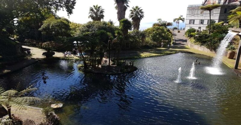 Madeira: Private Half-Day Guided Gardens Tour - From the Monte Palace to the Botanical Garden