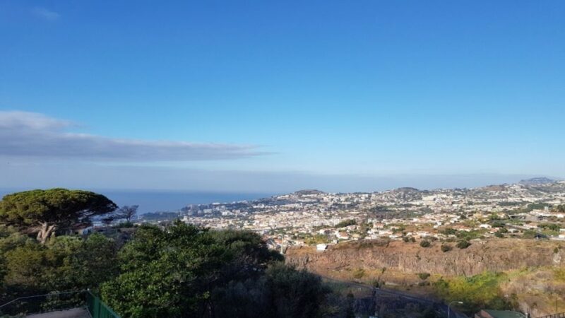 Madeira: Private Half-Day Guided Gardens Tour - The Flavour of Madeira’s Botanical Heritage at the Botanical Garden