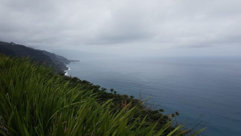 Madeira: Private Half-Day North East Island Tour - Practicalities: Comfort, Flexibility, and Accessibility