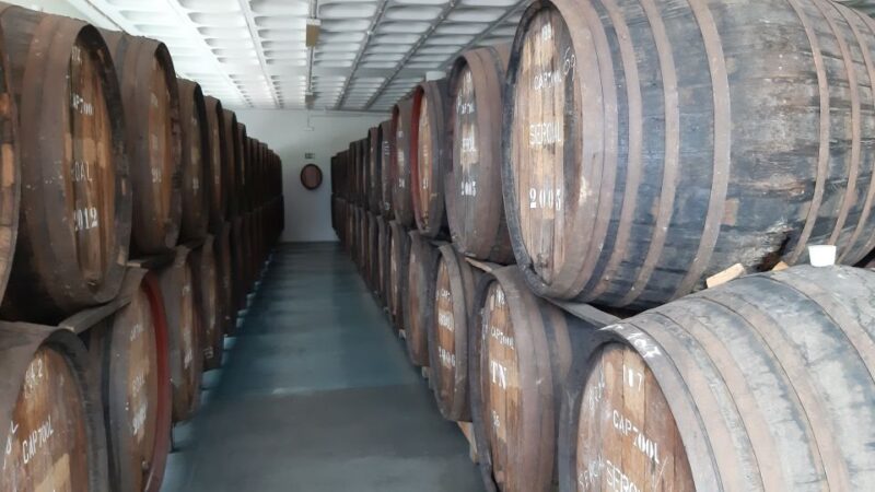 Madeira: Private Half-Day Wine Tasting Tour - Madeira: Private Half-Day Wine Tasting Tour Overview