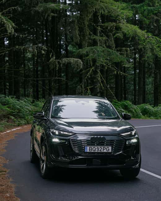 Madeira: Private Hike and Boat Experience with Lunch - Key Points