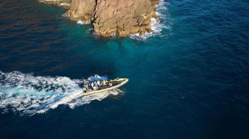Madeira: Private Hike and Boat Experience with Lunch - Madeira: Private Hike and Boat Experience with Lunch – Final Thoughts