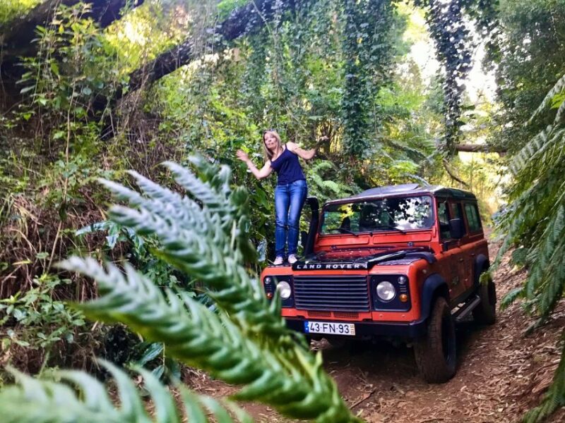 Madeira: Private Jeep 4x4 West Tour to Natural Pools - Visiting the Rabaçal Valley and the Fanal Forest