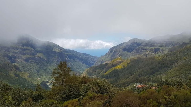 Madeira: Private Laurisilva Tour - Summary of Strengths and Considerations