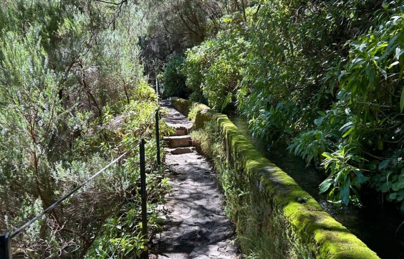 Madeira: Private Levada/Hike Experience with a Local Guide - Key Points