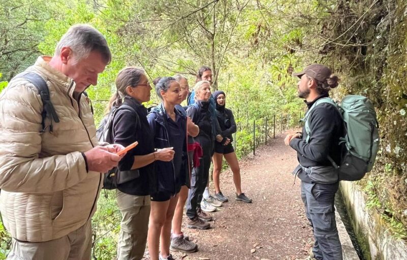 Madeira: Private Levada/Hike Experience with a Local Guide - Scenic Trails and Landscape Highlights