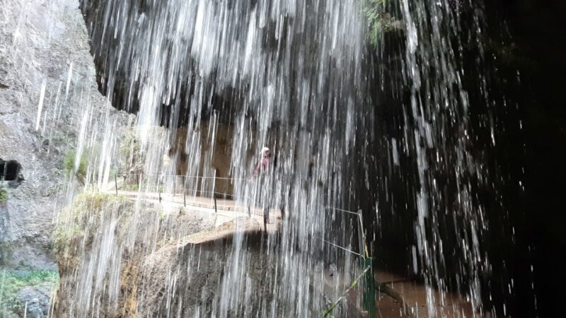 Madeira: Private Moinhos Levada Nova Walk Ponta do Sol - Accessibility and Physical Requirements