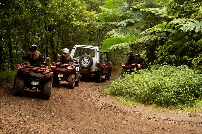 Madeira Private Off-road Quad Bike Experience - The Terrain: Forests, Fields, and Hills