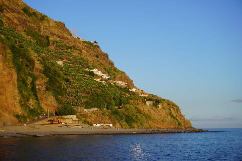 Madeira Private Premium Eco-Friendly Tour in Electric Car - The Cost and What’s Not Included