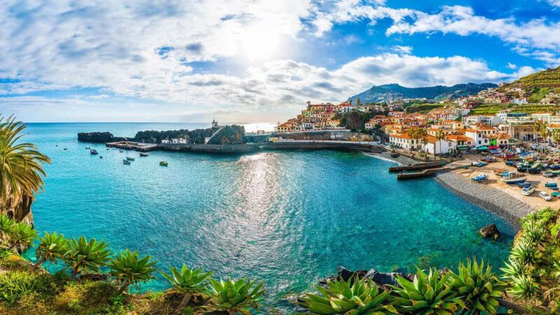 Madeira: Private Tour for Cruise Ship Passengers - Key Points