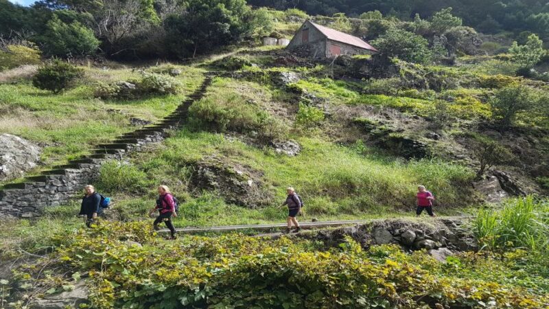 Madeira: Private Vereda do Larano Hike - The Route: From Porto da Cruz to Boca do Risco with Coastal Views