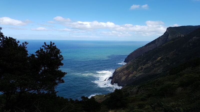 Madeira: Private Vereda do Larano Hike - Making the Most of Your Madeira Coastal Hike