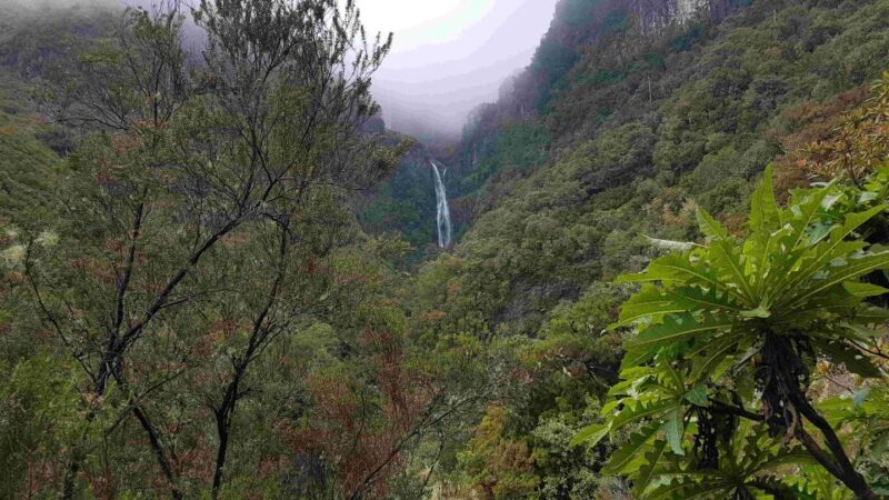 Madeira: Private Walking Tour of Levada das 25 Fontes PR6 - Key Points