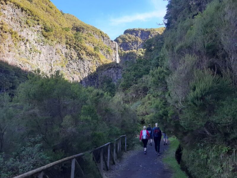 Madeira: Private Walking Tour of Levada das 25 Fontes PR6 - Starting the Adventure from Rabaçal