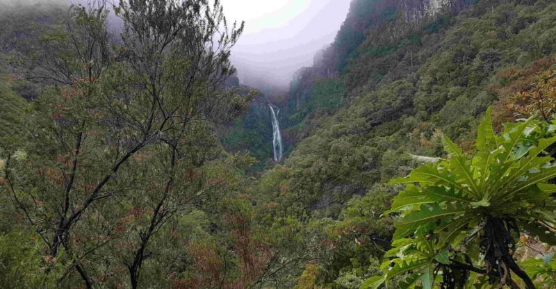 Madeira: Private Walking Tour of Levada das 25 Fontes PR6 - Practical Tips: What to Bring and Wear