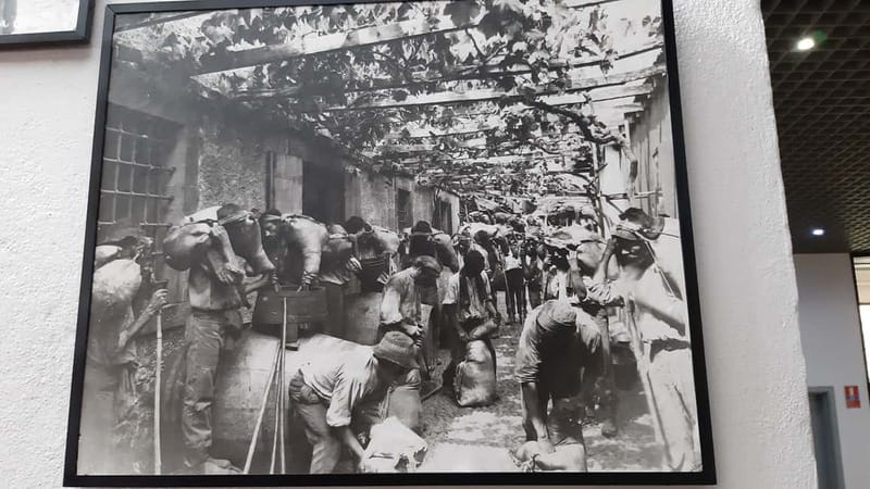 Madeira: Private Weekend Wine Tasting in São Vicente - Panoramic Viewpoint over São Vicente