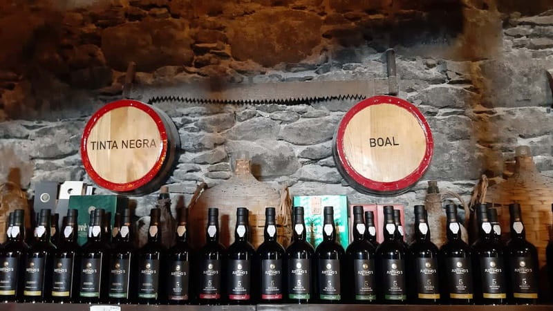 Madeira: Private Weekend Wine Tasting in São Vicente - Tasting a Range of Madeira Wines with Appetizers