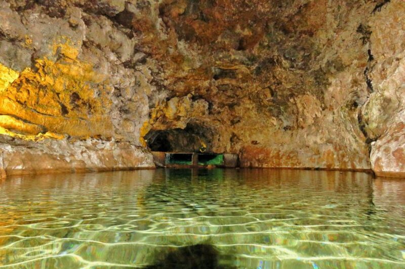 Madeira : Private wine experience by 4WD - Uncover Madeira’s Vineyard Heritage at Quinta do Barbusano