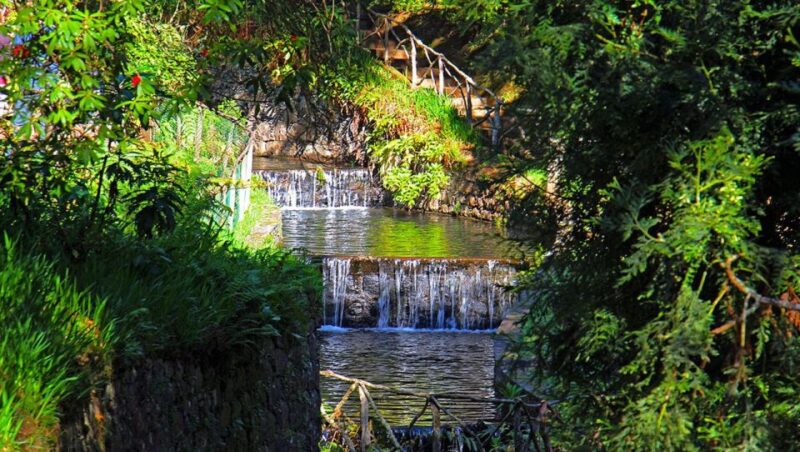 Madeira: Queimadas, Caldeirão Verde and Levada Walk - Why Choose This Levada Walk in Madeira