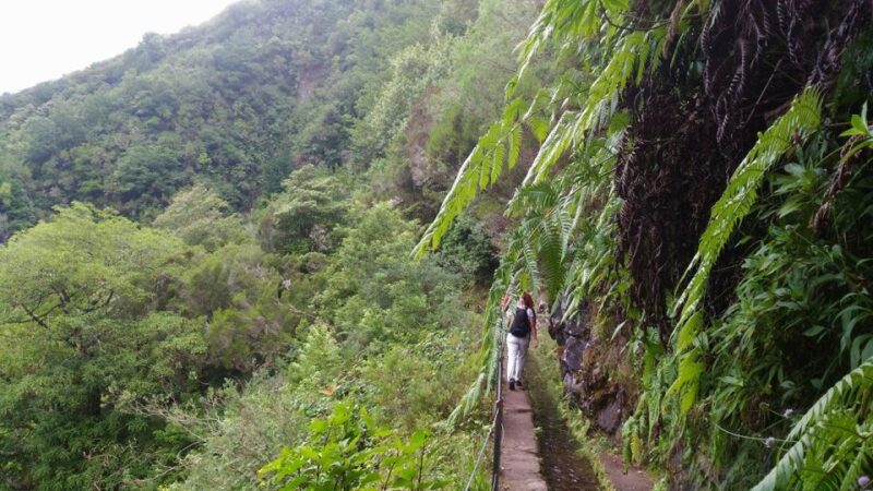 Madeira: Queimadas, Caldeirão Verde and Levada Walk - Frequently Asked Questions