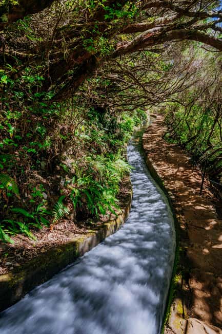 Madeira: Rabaçal Private Guided Walking Tour with Guide - Booking, Cancellation, and Practical Info