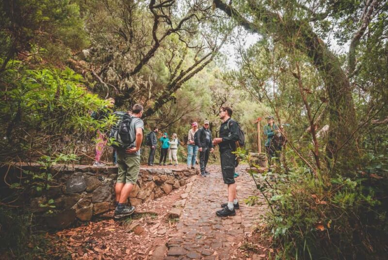 Madeira: Rabaçal Valley and the 25 Fountains Hike - Discover Madeira’s Natural Wonders on a Guided Rabaçal Valley and 25 Fountains Hike