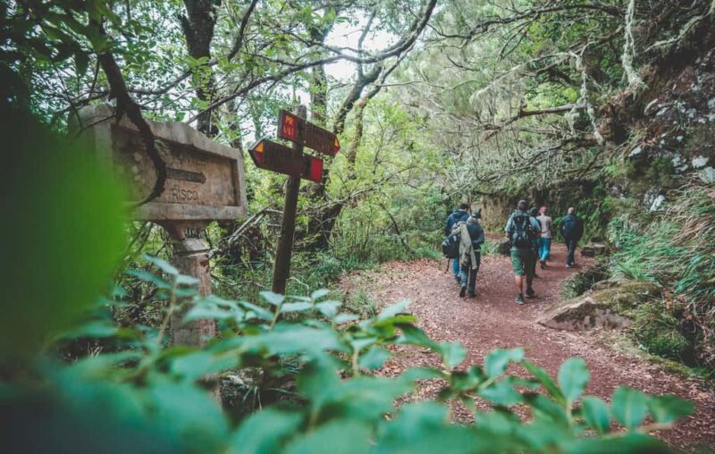 Madeira: Rabaçal Valley and the 25 Fountains Hike - Key Points