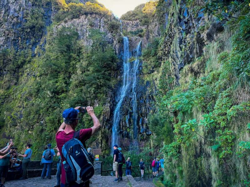 Madeira: Rabaçal Valley and the 25 Fountains Hike - Guides and Customer Feedback: Knowledge and Approachability