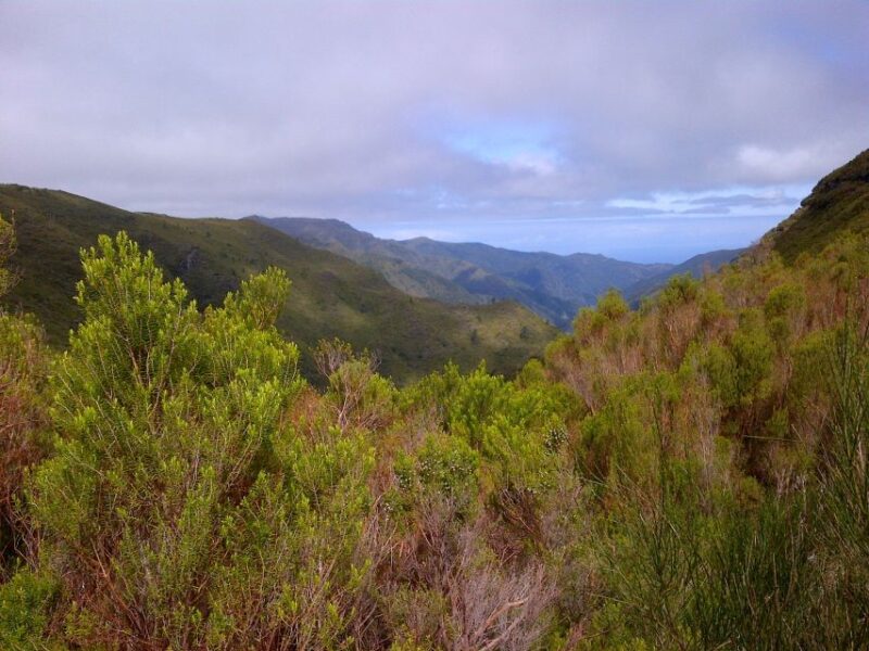 Madeira: Rabaçal Valleys 3-Hour Guided Walk - Key Points